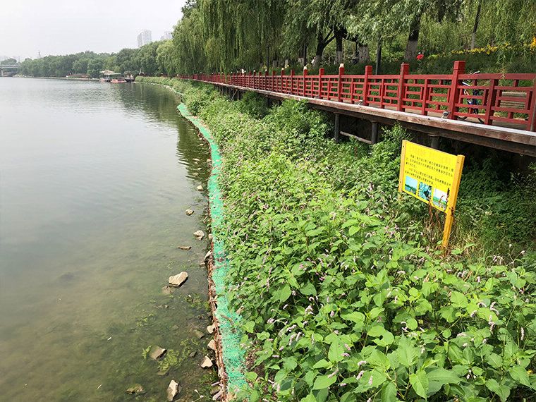 渾河右岸長青橋--勝利橋岸坎修復工程